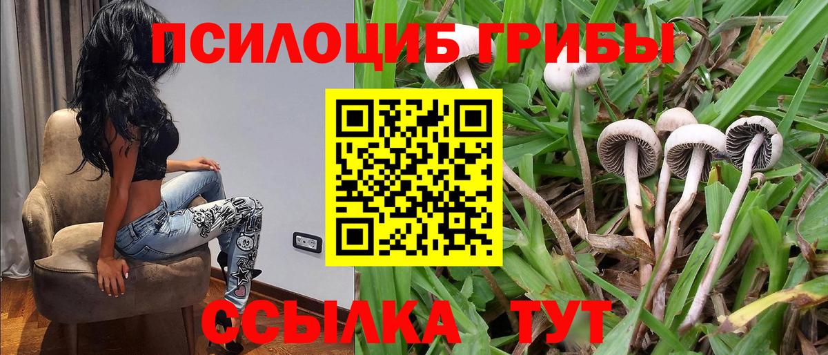 Волжск  Псилоцибиновые грибы MAGIC MUSHROOMS  как найти закладки  Вход с VPN 